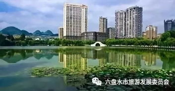 风格迥异的六盘水桥梁,你走过几个