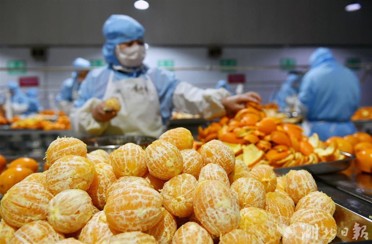 屈姑食品亮相全国农业国际贸易高质量发展基地建设交流会