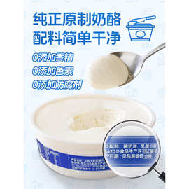 芝士蛋糕烘焙工具与贸易食品的完美融合