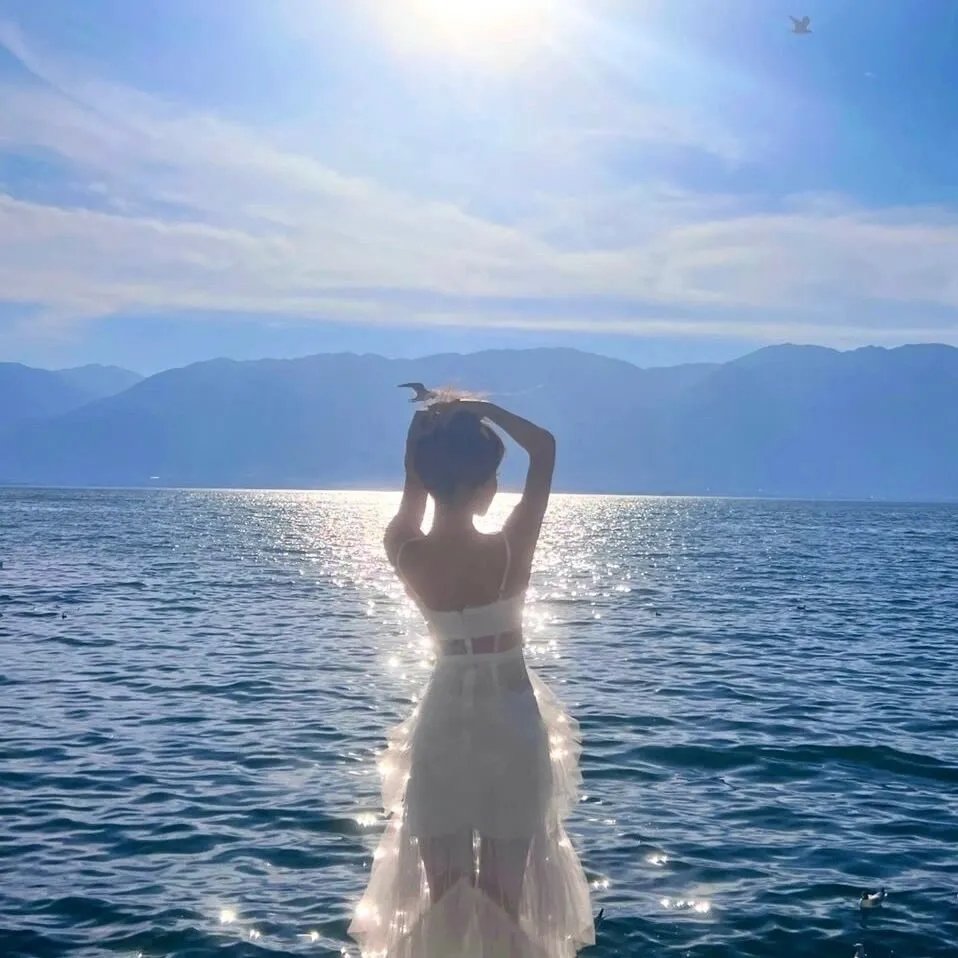 MAC图标